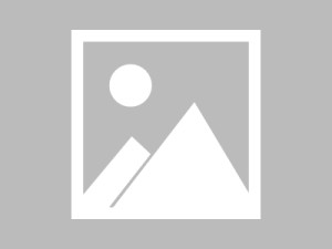 反复使用后再看蘑菇视频：整体使用氛围与浏览节奏的感受