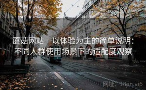 蘑菇网站｜以体验为主的简单说明：不同人群使用场景下的适配度观察