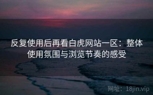 反复使用后再看白虎网站一区：整体使用氛围与浏览节奏的感受