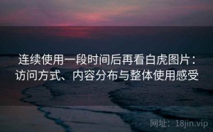 连续使用一段时间后再看白虎图片：访问方式、内容分布与整体使用感受