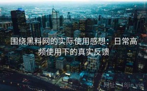 围绕黑料网的实际使用感想：日常高频使用下的真实反馈
