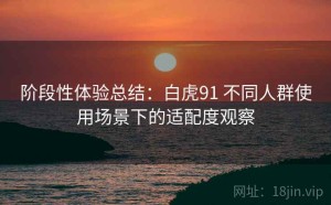 阶段性体验总结：白虎91 不同人群使用场景下的适配度观察