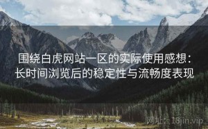 围绕白虎网站一区的实际使用感想：长时间浏览后的稳定性与流畅度表现