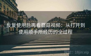 反复使用后再看蘑菇视频：从打开到使用顺手所经历的全过程
