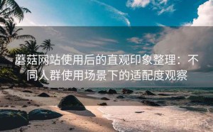 蘑菇网站使用后的直观印象整理：不同人群使用场景下的适配度观察