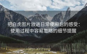 把白虎图片放进日常使用后的感受：使用过程中容易忽略的细节提醒