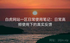白虎网站一区日常使用笔记：日常高频使用下的真实反馈