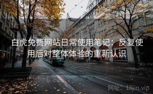 白虎免费网站日常使用笔记：反复使用后对整体体验的重新认识