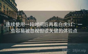连续使用一段时间后再看白虎91：一些容易被忽视但很关键的体验点
