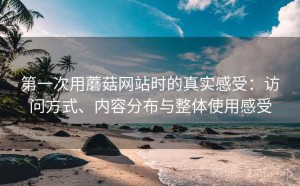 第一次用蘑菇网站时的真实感受：访问方式、内容分布与整体使用感受