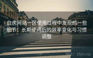 白虎网站一区使用过程中发现的一些细节：长期使用后的效率变化与习惯调整