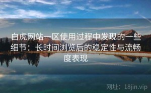 白虎网站一区使用过程中发现的一些细节：长时间浏览后的稳定性与流畅度表现