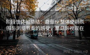 阶段性体验总结：蘑菇tv 整体使用氛围与浏览节奏的感受，蘑菇影视现在叫什么