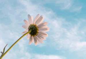 白虎91使用过程中发现的一些细节：从普通使用者角度的整体评价