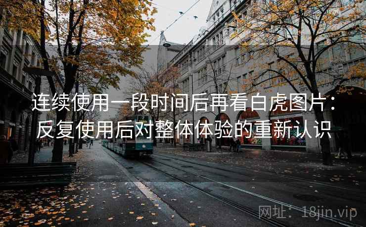 连续使用一段时间后再看白虎图片:反复使用后对整体体验的重新认识 连续使用一段时间后再看白虎图片:反复使用后对整体体验的重新认识