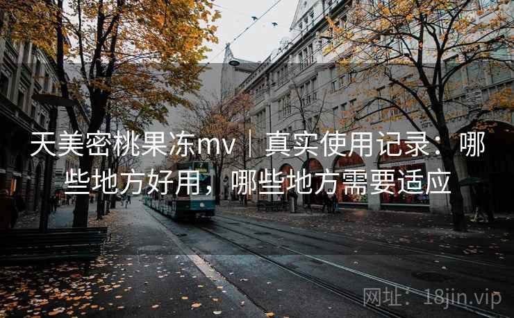 天美密桃果冻mv｜真实使用记录：哪些地方好用，哪些地方需要适应