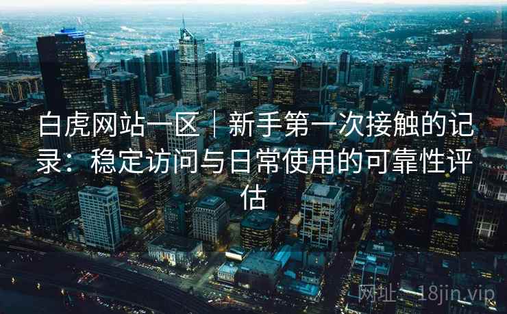 白虎网站一区｜新手第一次接触的记录：稳定访问与日常使用的可靠性评估