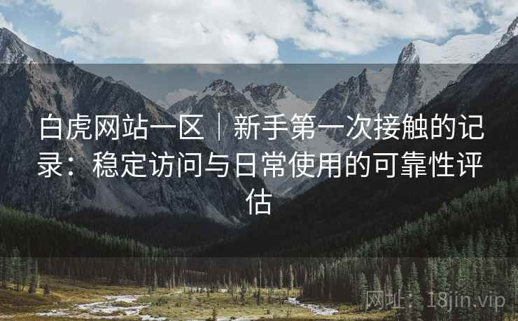 白虎网站一区｜新手第一次接触的记录：稳定访问与日常使用的可靠性评估