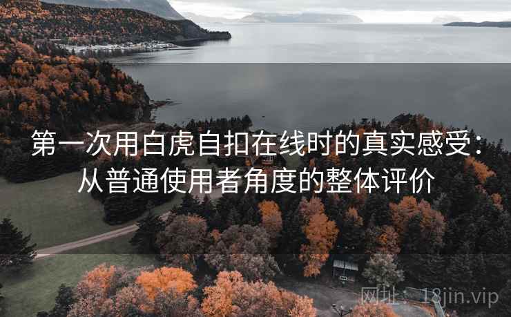 第一次用白虎自扣在线时的真实感受：从普通使用者角度的整体评价