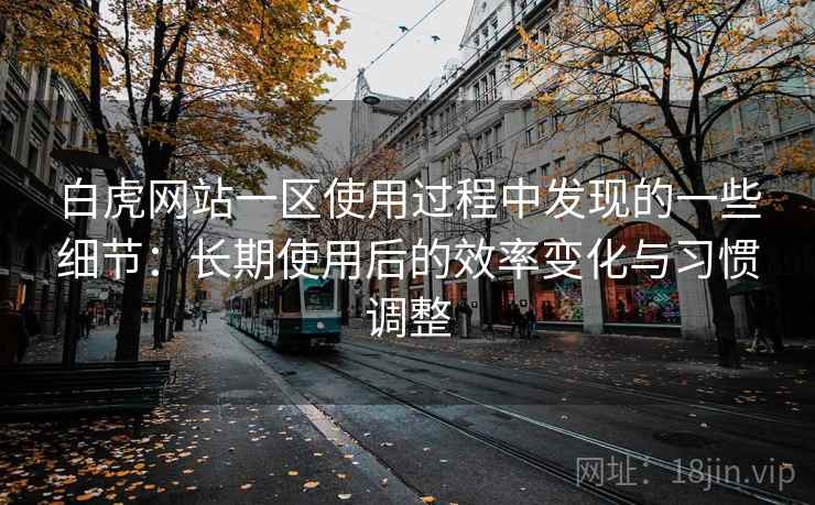 白虎网站一区使用过程中发现的一些细节：长期使用后的效率变化与习惯调整