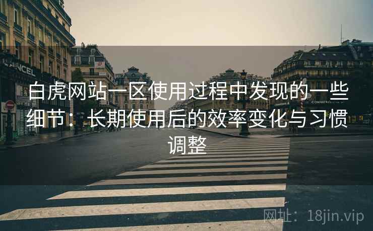 白虎网站一区使用过程中发现的一些细节：长期使用后的效率变化与习惯调整