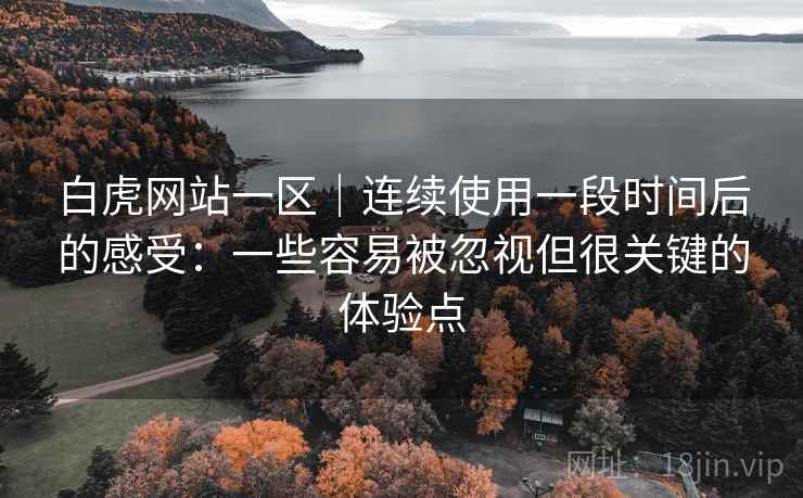 白虎网站一区｜连续使用一段时间后的感受：一些容易被忽视但很关键的体验点