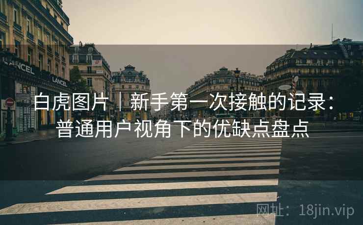 白虎图片｜新手第一次接触的记录：普通用户视角下的优缺点盘点