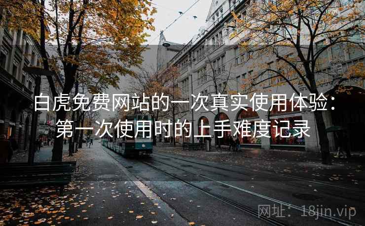 白虎免费网站的一次真实使用体验：第一次使用时的上手难度记录