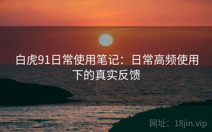 白虎91日常使用笔记：日常高频使用下的真实反馈
