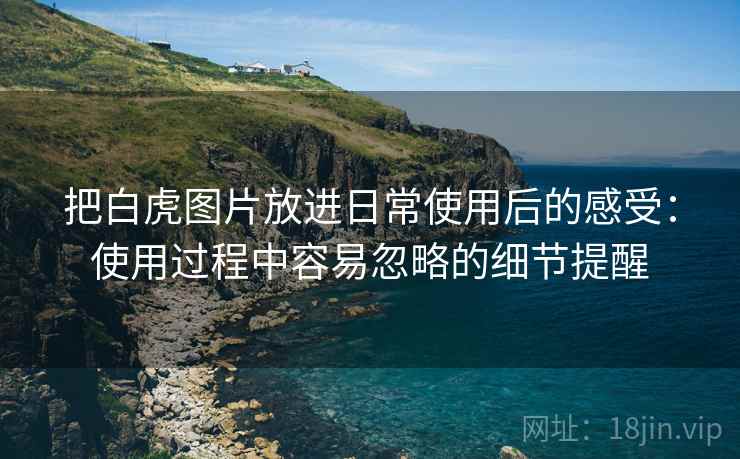 把白虎图片放进日常使用后的感受：使用过程中容易忽略的细节提醒