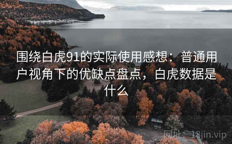 围绕白虎91的实际使用感想：普通用户视角下的优缺点盘点，白虎数据是什么