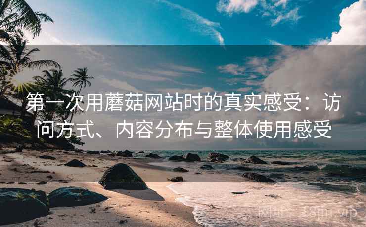 第一次用蘑菇网站时的真实感受：访问方式、内容分布与整体使用感受