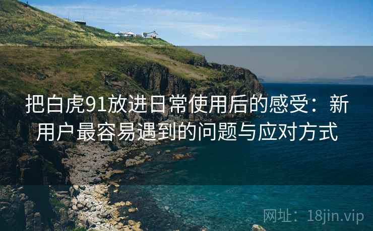 把白虎91放进日常使用后的感受：新用户最容易遇到的问题与应对方式
