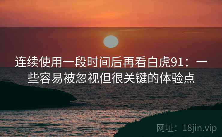 连续使用一段时间后再看白虎91：一些容易被忽视但很关键的体验点