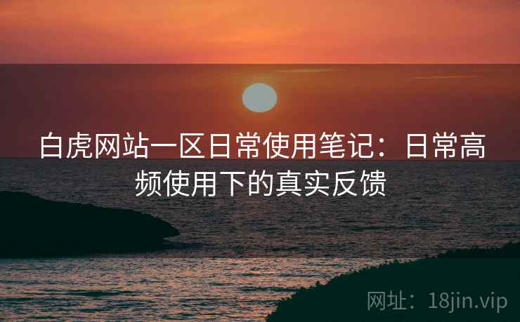 白虎网站一区日常使用笔记：日常高频使用下的真实反馈
