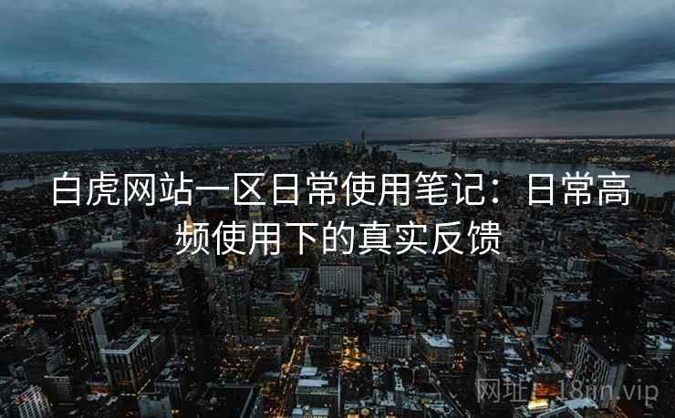 白虎网站一区日常使用笔记：日常高频使用下的真实反馈
